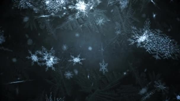 Animación Copos Nieve Cayendo Sobre Fondo Negro Invierno Navidad Tradición — Vídeos de Stock