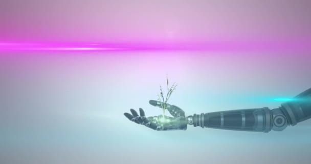 Анімація Вирощування Рослини Руці Робота Рожевим Світлом Сірому Фоні Технології — стокове відео