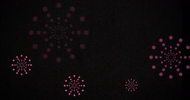 Animatie Van Exploderend Roze Vuurwerk Zwarte Achtergrond Nieuwjaar Feest Feest — Stockvideo