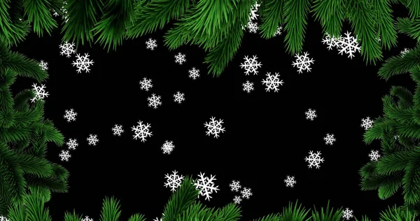 Bild Von Tannenbaum Rahmen Über Schneeflocken Fallen Auf Schwarzem Hintergrund — Stockfoto