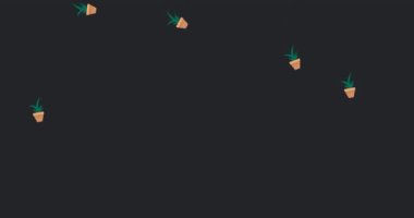 Siyah arka plana düşen saksılardaki ev bitkilerinin canlandırılması. ev hayatı ve doğa soyut arayüz arka plan kavramı dijital olarak oluşturulmuş video.