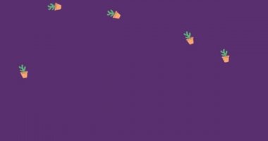 Mor arka planda düşen kaktüslerin canlandırması. ev hayatı ve doğa soyut arayüz arka plan kavramı dijital olarak oluşturulmuş video.