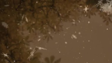 Kahverengi arka planda ağaçtan düşen kar animasyonu. Kış, Noel, gelenek ve kutlama konsepti dijital olarak oluşturulmuş video.