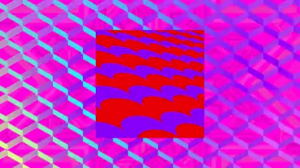 Анімація Червоного Квадрата Фіолетовими Хвилями Над Синьою Діамантовою Сіткою Рожевому — стокове відео