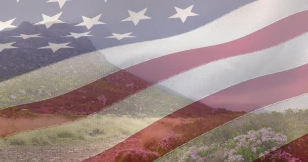 美国国旗在长满青草的山坡上飘扬 独立和庆祝概念数码录像 — 图库视频影像