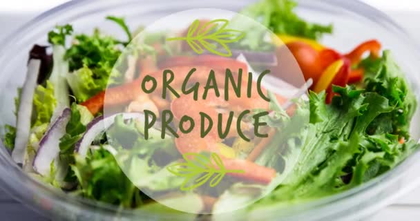 Animation Organic Produce Text Green Bowl Fresh Salad Vegan Day — Stock Video