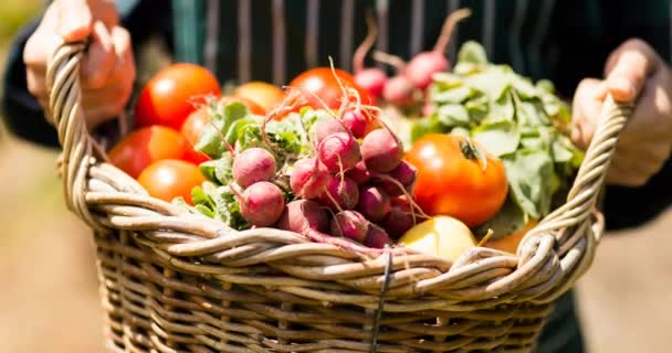 Animação Pessoa Segurando Cesta Legumes Orgânicos Recém Colhidos Livre Dia — Vídeo de Stock