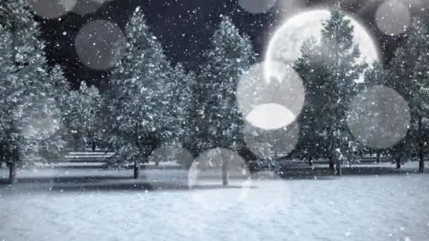 Κινούμενα Σχέδια Χιονιού Που Πέφτουν Πάνω Από Δέντρα Νύχτα Πανσέληνο — Αρχείο Βίντεο