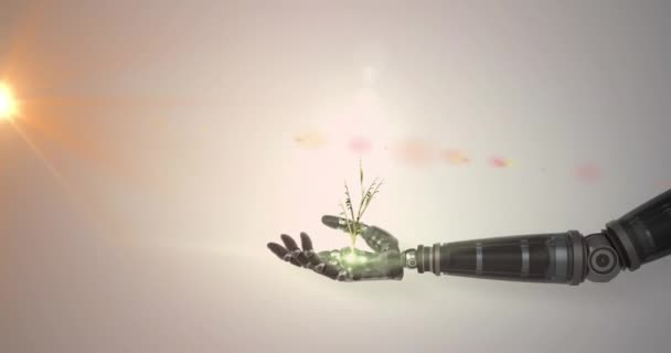 Animacja Rosnącej Rośliny Ręku Robota Pomarańczowym Światłem Szarym Tle Technologia — Wideo stockowe