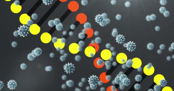 Coperid Hücre Dna Iplikçiklerinin Dönüşünün Animasyonu Küresel Covid Salgın Konsepti — Stok video