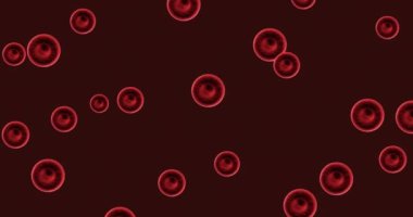 Koyu arkaplanda hareket eden kırmızı kan hücrelerinin animasyonu. kan bağışı ayı farkındalık kampanyası konsepti dijital olarak oluşturuldu.