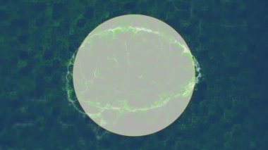 Dijital beynin kareler ve beyaz daireler üzerindeki animasyonu. küresel iş, bağlantılar, ağlar ve veri işleme kavramı dijital olarak oluşturulmuş video.