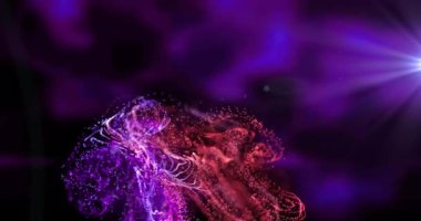 Siyah zemin üzerinde mor ışıkta hareket eden kırmızı ve pembe parçacıkların animasyonu. hareket, enerji ve renk, soyut arayüz arkaplan kavramı dijital olarak oluşturulmuş video.