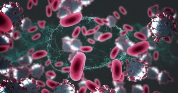 Animace Covid Červených Krvinek Otáčením Lidského Mozku Globální Covid Pandemický — Stock video