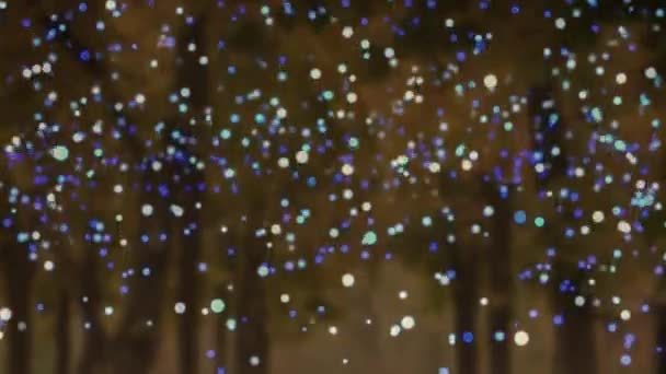 背景の木々の上に青と白のちらつきのスポットのアニメーション クリスマス 伝統とお祝いのコンセプトデジタルで生成されたビデオ — ストック動画