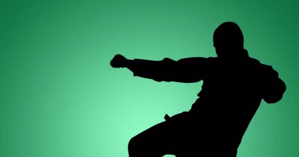 Yeşil Arka Planda Erkek Dövüş Sanatçısının Siluetinin Canlandırılması Ulusal Hobi — Stok video