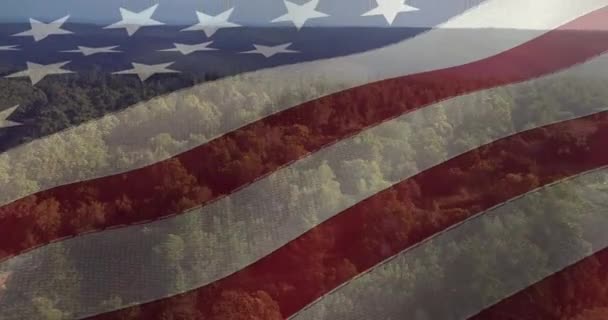 森林の空中ビュー上のアメリカ国旗のアニメーション 愛国心独立お祝いのコンセプトデジタルで生成されたビデオ — ストック動画