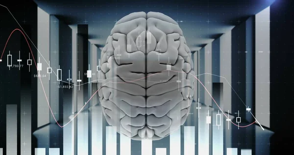 Top View Human Brain Server Room Background Continuous Appearances Bar — Stock Photo, Image