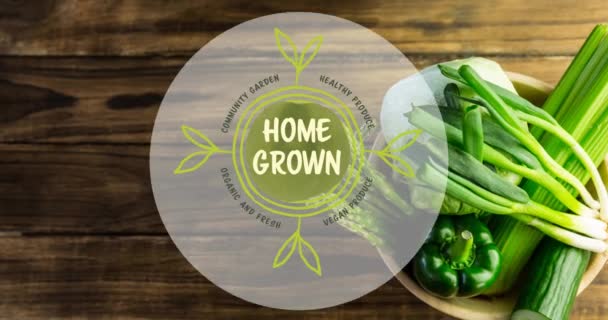 Animação Casa Cultivada Vegan Produzir Texto Verde Sobre Tigela Legumes — Vídeo de Stock