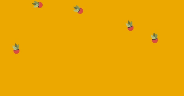 黄色の背景に落ちるピンクのポットで観葉植物のイラストのアニメーション 国内の生活と自然界の抽象的なインターフェースの背景概念デジタルで生成された — ストック動画