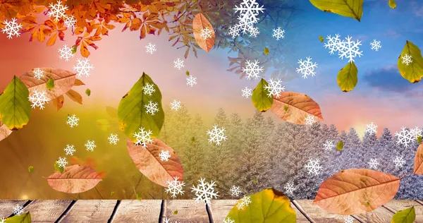 Bild Von Weihnachtsschneeflocken Und Blättern Die Über Holzbretter Und Schneebedeckte — Stockfoto