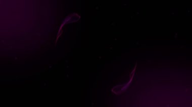 Siyah arkaplan üzerinde mor duman izleri. küresel bağlantılar ve ağ konsepti dijital olarak oluşturulmuş video.