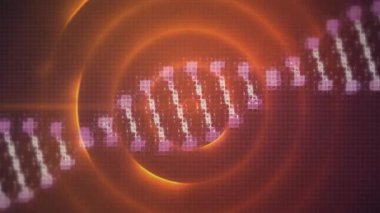 Turuncu halkaların üzerinde DNA iplikçiklerinin canlandırılması. küresel iş, bağlantılar, ağlar ve veri işleme kavramı dijital olarak oluşturulmuş video.