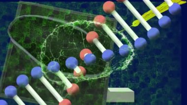 Mavi arka plandaki mezuniyet şapkasının üzerinde DNA ipliği ve dijital beyin animasyonu. küresel gelişim, mühendislik ve veri işleme kavramı dijital olarak oluşturulmuş video.