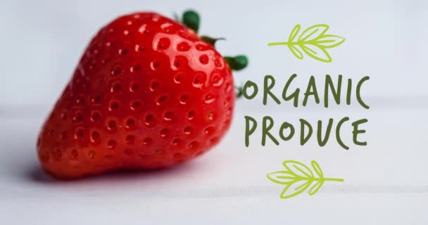 Animation Von Bio Produkten Text Grün Über Frischen Bio Erdbeeren — Stockvideo