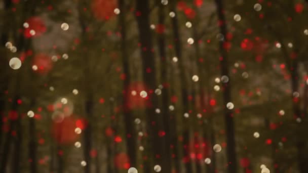 Анімація Білих Червоних Різдвяних Мерехтливих Плям Над Лісом Задньому Плані — стокове відео