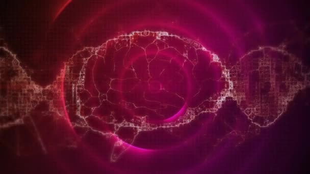 Animation Cerveau Numérique Sur Les Sentiers Les Cercles Roses Entreprise — Video