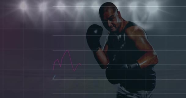 在男性拳击手和泛光灯上动画图形和数据处理 技术和数字界面概念 数字视频 — 图库视频影像