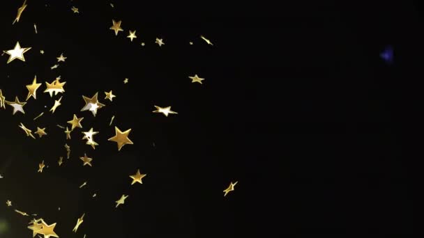 Animation Taches Lumineuses Étoiles Sur Fond Noir Fête Concept Célébration — Video