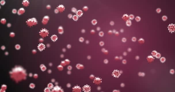 Анимация Ковидных Клеток Плавающих Красном Фоне Глобальный Шабаш Пандемия Концепции — стоковое видео