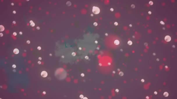 크리스마스 장식에 과붉은 애니메이션이다 크리스마스 축하의 개념을 디지털로 비디오 — 비디오