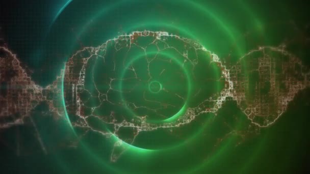 Animation Cerveau Numérique Sur Les Sentiers Les Cercles Verts Entreprise — Video