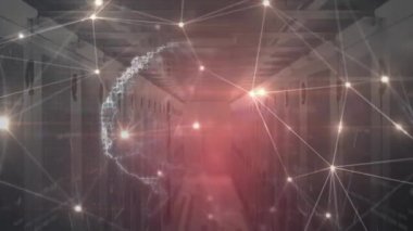 Dijital beynin animasyonu ve sunucu odasındaki bağlantı ağları. küresel bilim ve teknoloji konsepti dijital olarak üretilen video.