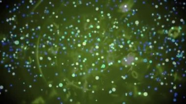 Duman üzerinde parlayan Noel ışıklarının ve siyah arka planda harflerin canlandırılması. Noel, kutlama ve iletişim ağı teknolojisi konsepti dijital olarak oluşturulmuş video.