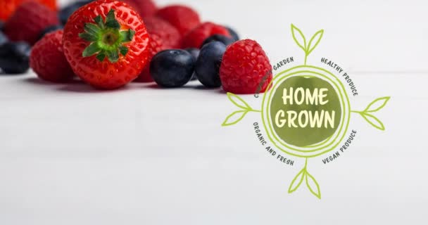 Animation Home Grown Text Green Fresh Organic Berries White Background — Stock Video