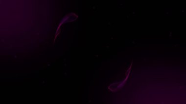 Siyah arkaplan üzerinde mor duman izleri. küresel bağlantılar ve ağ konsepti dijital olarak oluşturulmuş video.