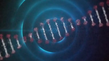 Mor dairelerin üzerinde DNA iplikçiklerinin canlandırılması. küresel iş, bağlantılar, ağlar ve veri işleme kavramı dijital olarak oluşturulmuş video.