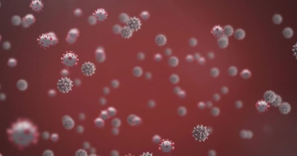 Animatie Van Covid Cellen Zwevend Rode Achtergrond Global Covid Pandemisch — Stockvideo