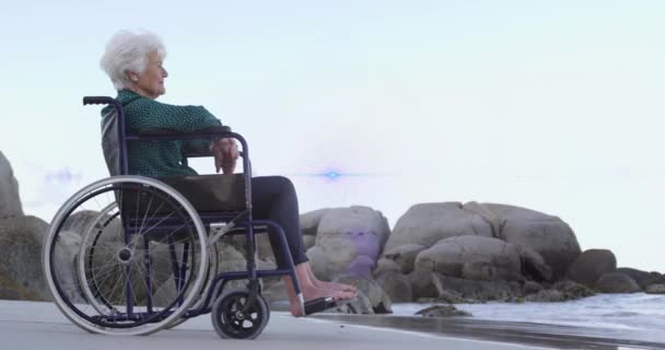 Animatie Van Licht Bewegend Lachende Oudere Blanke Vrouw Een Rolstoel — Stockvideo