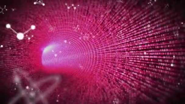 Анимация Химических Структур Над Розовым Цифровым Туннелем Глобальный Бизнес Соединения — стоковое видео