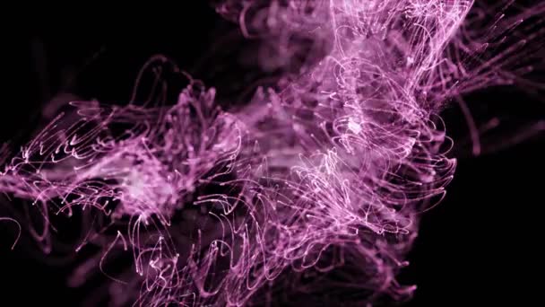 Animation Sentiers Lumière Violette Sur Fond Noir Connexions Mondiales Concept — Video
