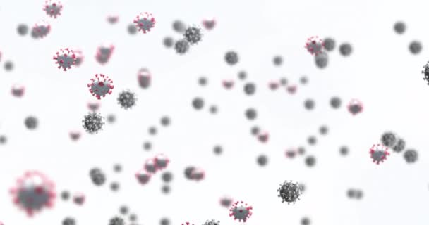 Animacja Dziewiętnastu Komórek Pływających Białym Tle Globalna Koncepcja Pandemii Wideo — Wideo stockowe