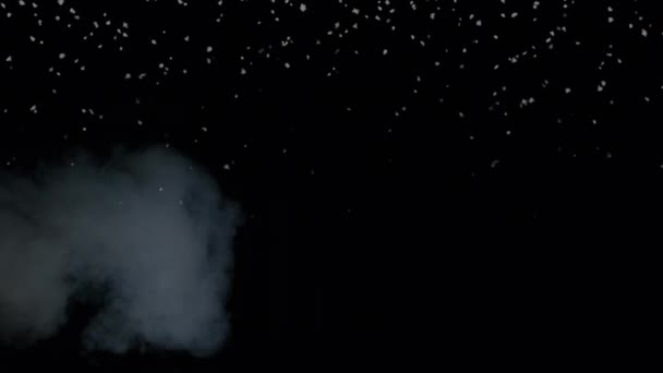 黒い背景で煙に落ちるクリスマスの雪片のアニメーション クリスマス お祝いのコンセプトをデジタルで — ストック動画