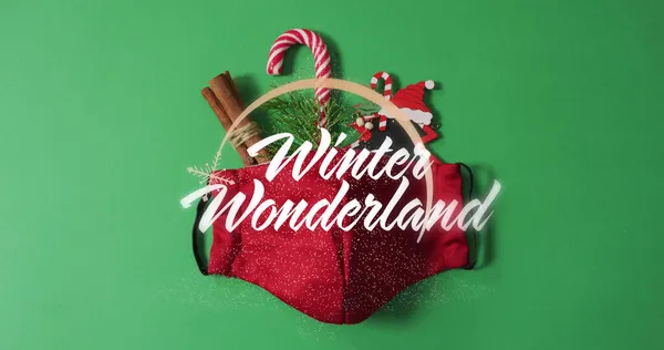 Afbeelding Van Winter Wonderland Tekst Gezicht Masker Kerst Decoratie Kerstmis — Stockfoto