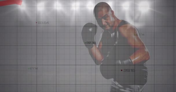 Animatie Van Grafieken Gegevensverwerking Mannelijke Bokser Schijnwerpers Sport Concurrentie Technologie — Stockvideo