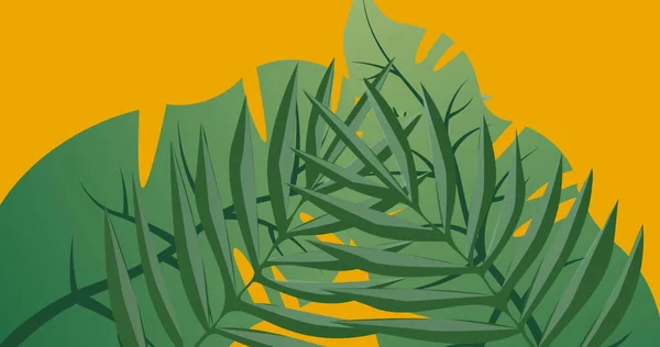 Bild Von Exotischen Grünen Blattformen Die Sich Auf Gelbem Hintergrund — Stockfoto
